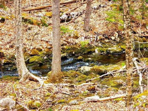 10 Goose River Estates Swanville ME 04915