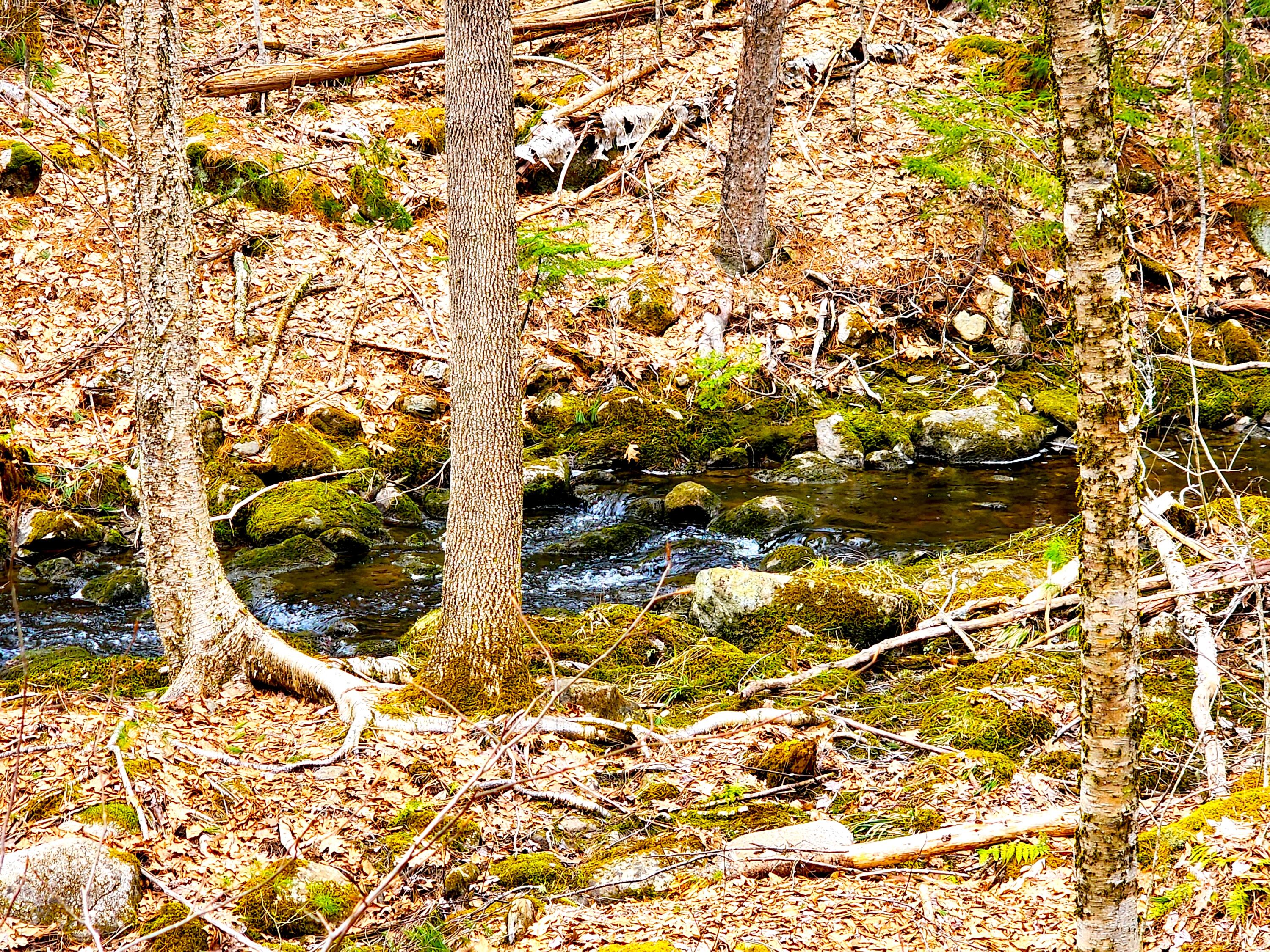 10 Goose River Estates Swanville ME 04915