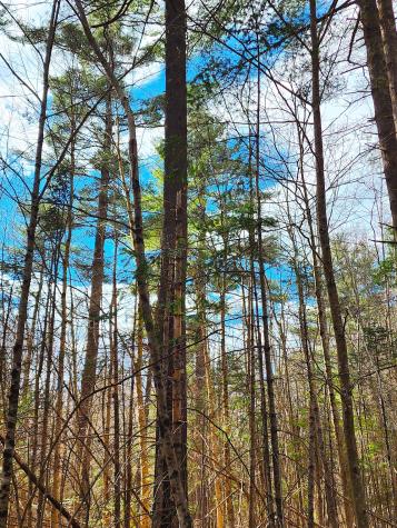 10 Goose River Estates Swanville ME 04915