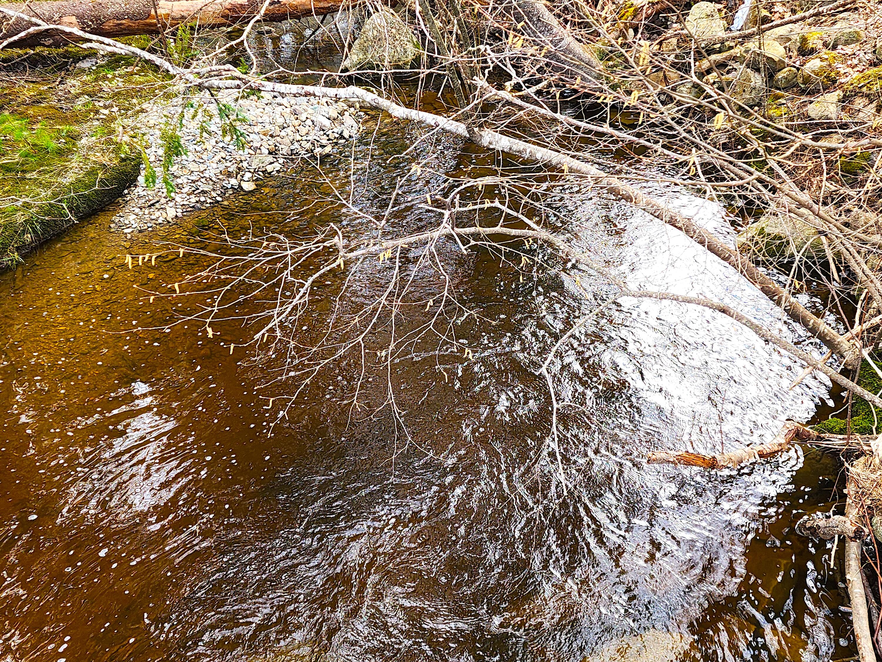 10 Goose River Estates Swanville ME 04915