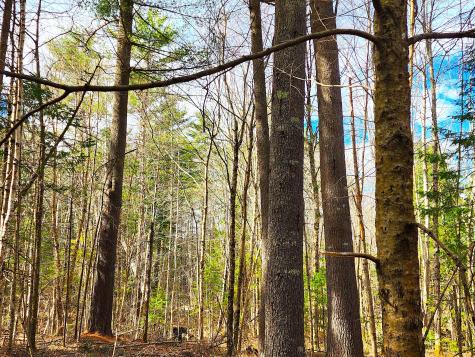 10 Goose River Estates Swanville ME 04915