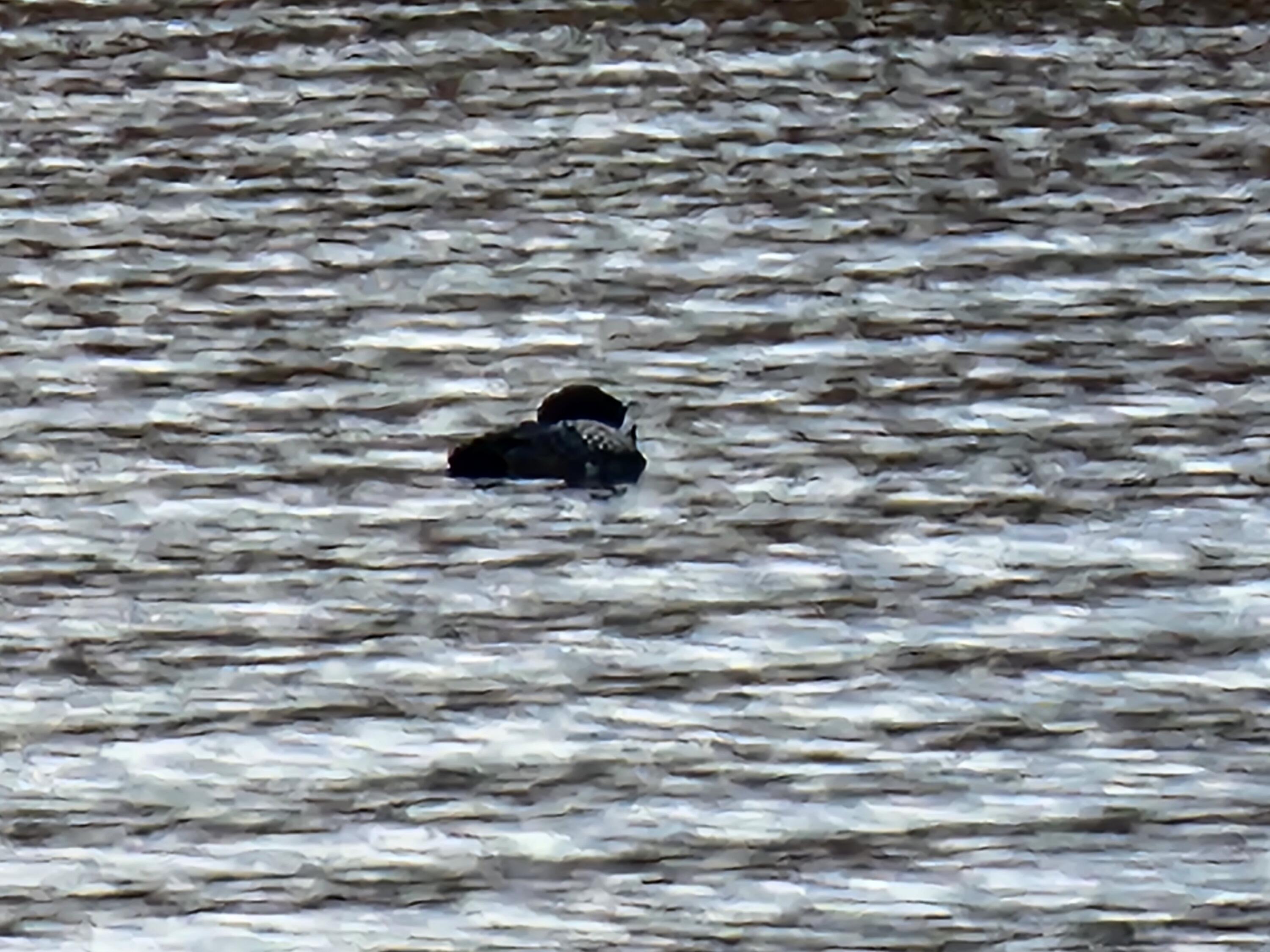 10 Goose River Estates Swanville ME 04915