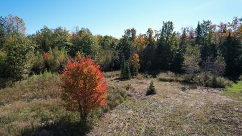 1 Forest Brook Drive Abbot ME 04406