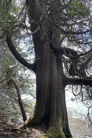 1200 Windward Way Addison ME 04606