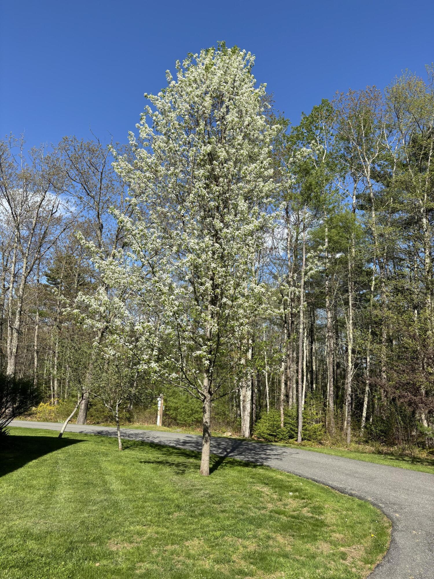 26 Old Nutt Farm Road Rockport ME 04856