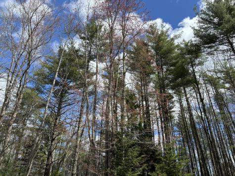 26 Old Nutt Farm Road Rockport ME 04856