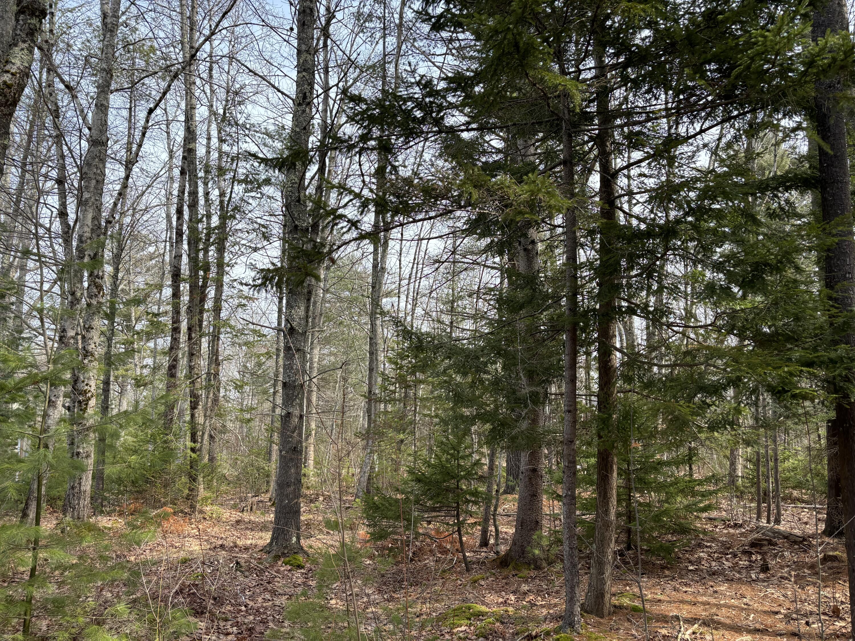 26 Old Nutt Farm Road Rockport ME 04856