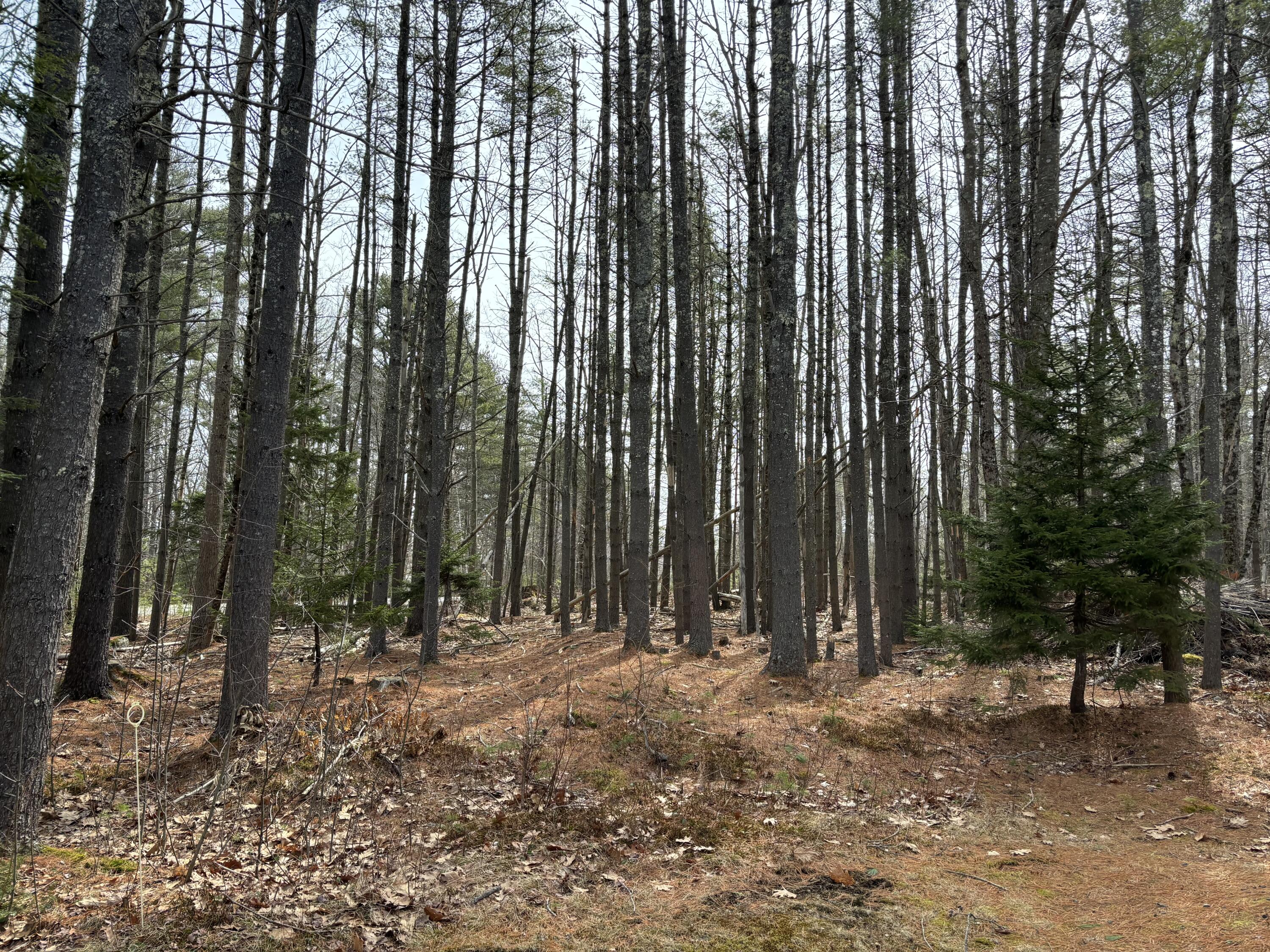 26 Old Nutt Farm Road Rockport ME 04856