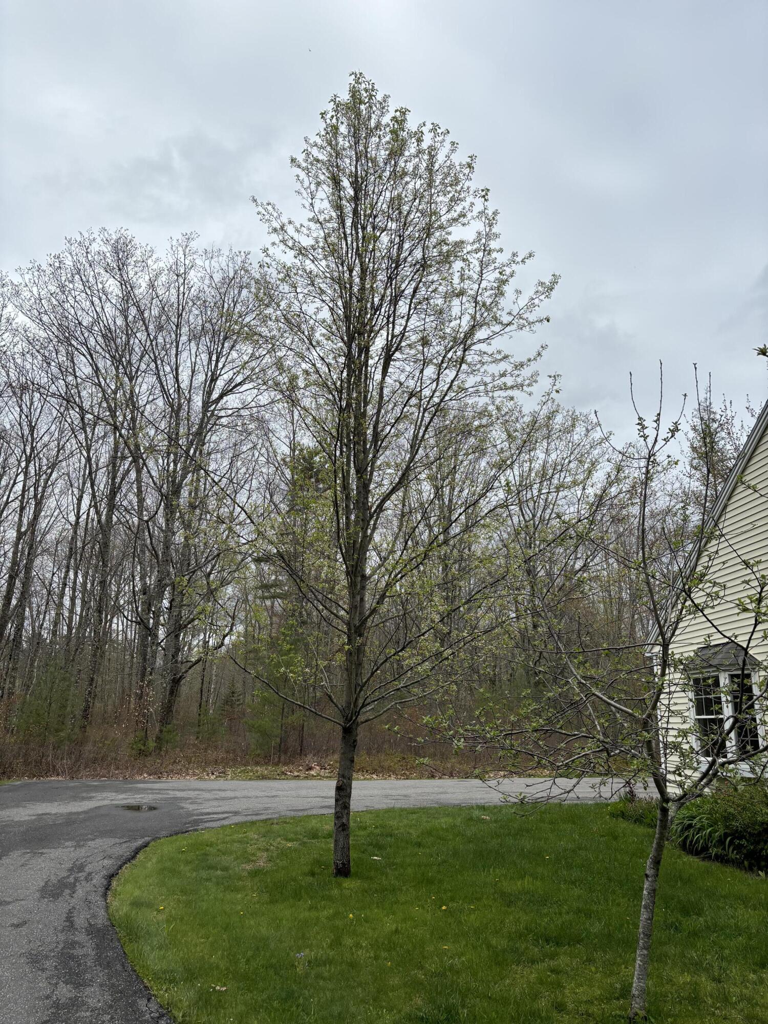 26 Old Nutt Farm Road Rockport ME 04856
