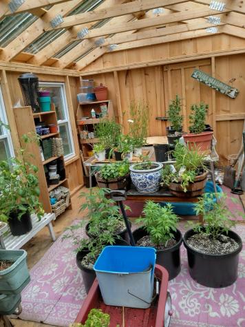 62 North Street Mechanic Falls ME 04256