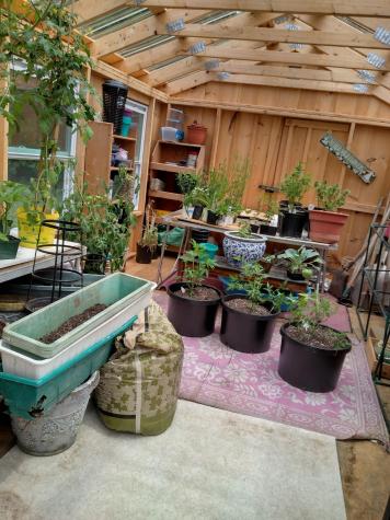 62 North Street Mechanic Falls ME 04256