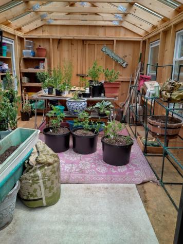 62 North Street Mechanic Falls ME 04256