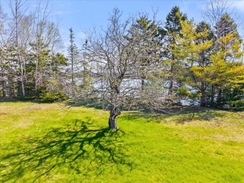 372 Rays Point Road Milbridge ME 04658