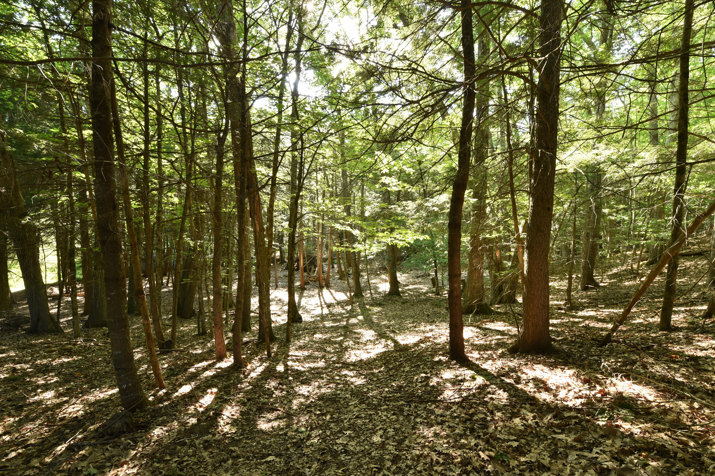 91 Curtis Road Monroe ME 04951