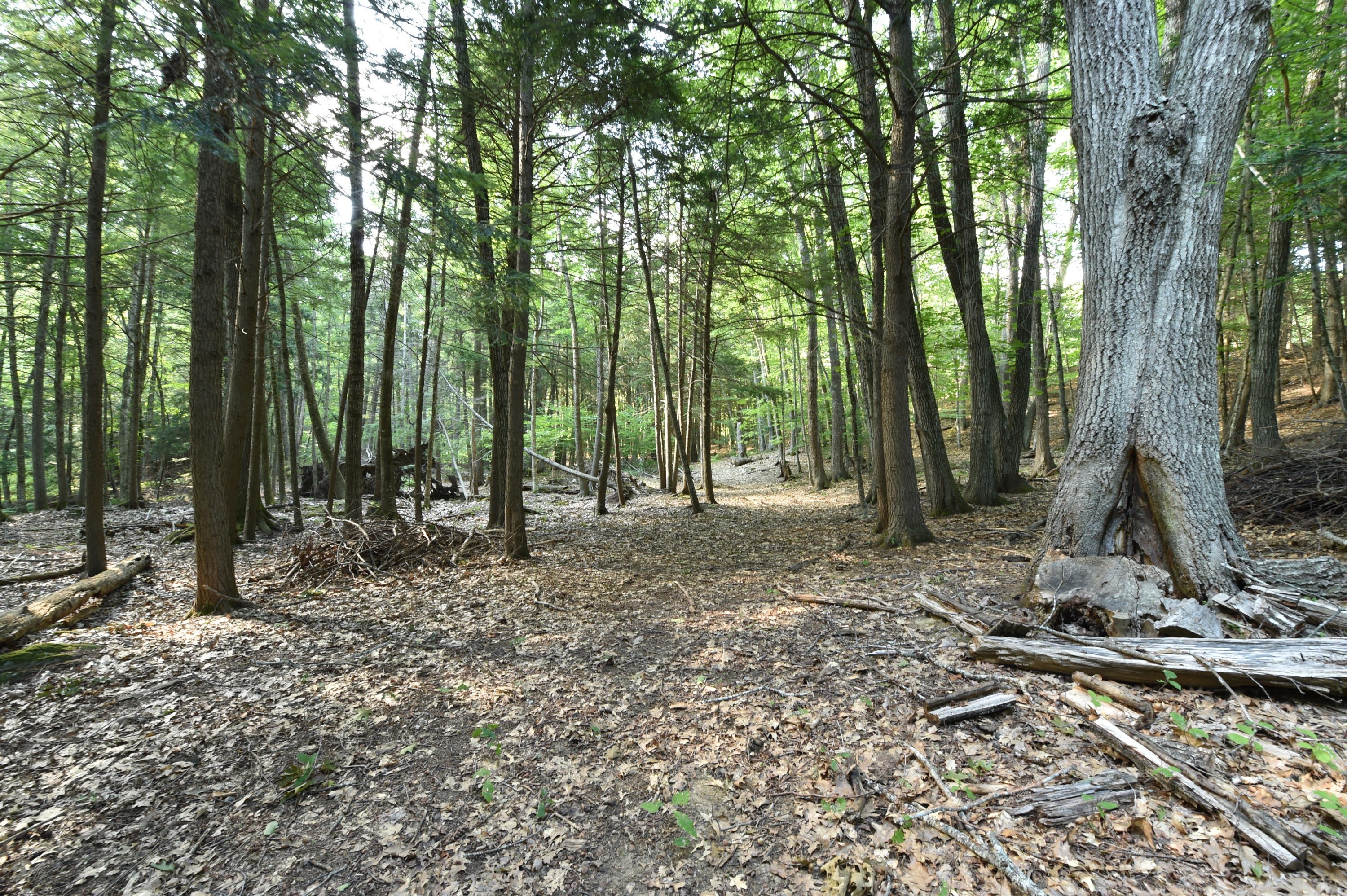 91 Curtis Road Monroe ME 04951