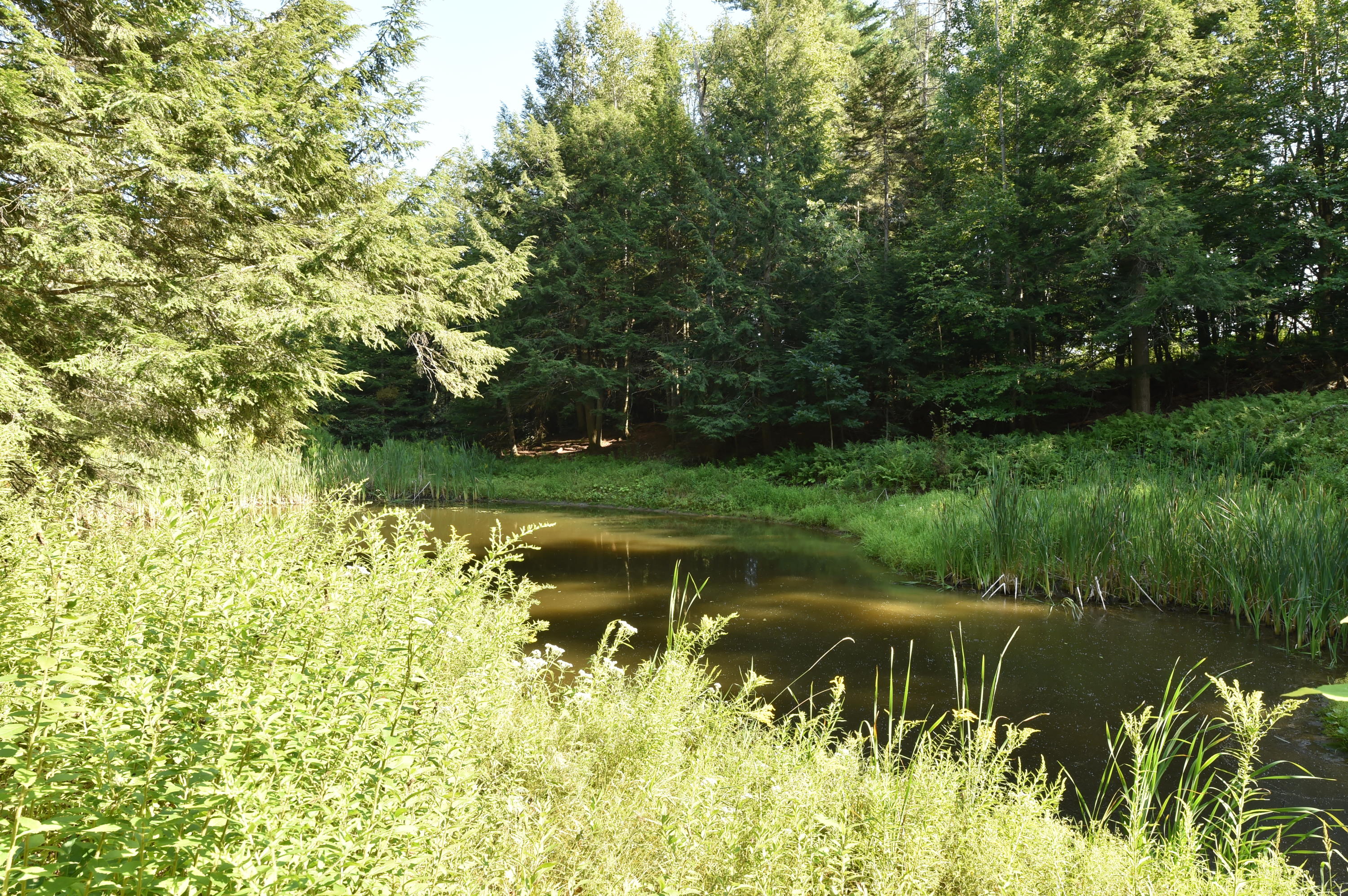 91 Curtis Road Monroe ME 04951