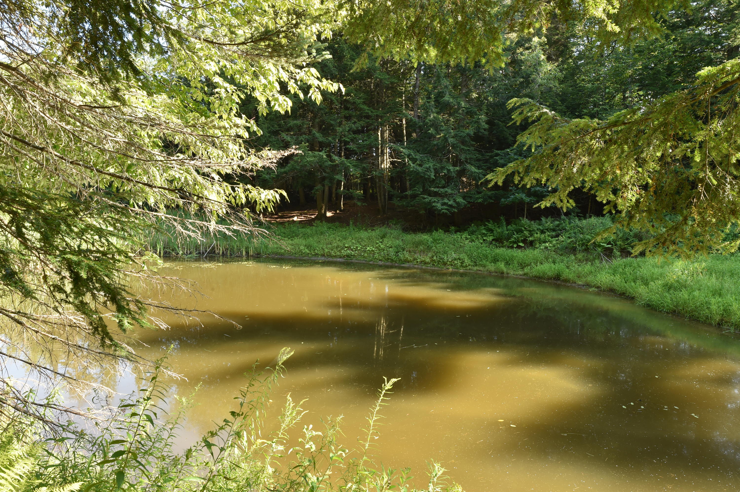 91 Curtis Road Monroe ME 04951