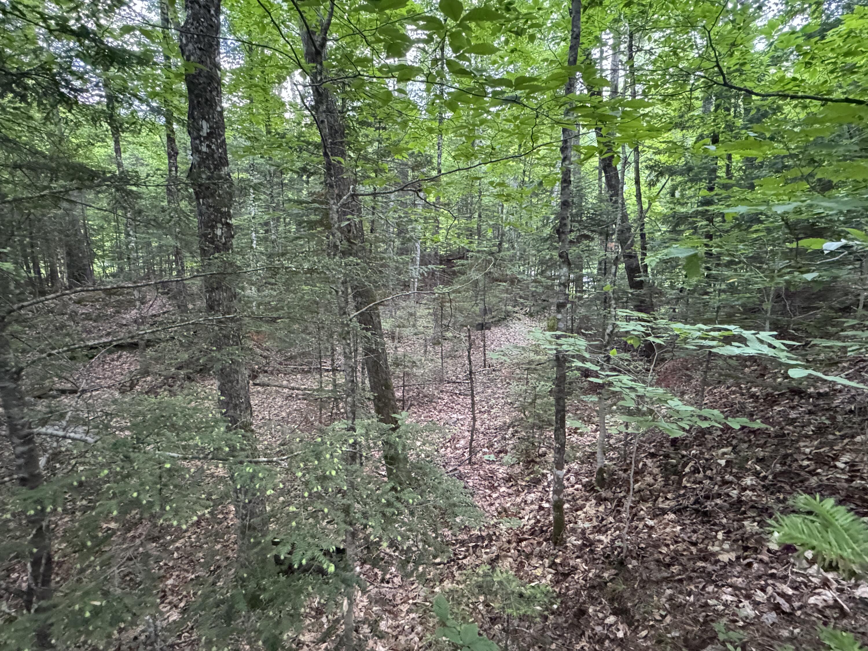 1215 Elliotsville Road Elliottsville Twp ME 04443