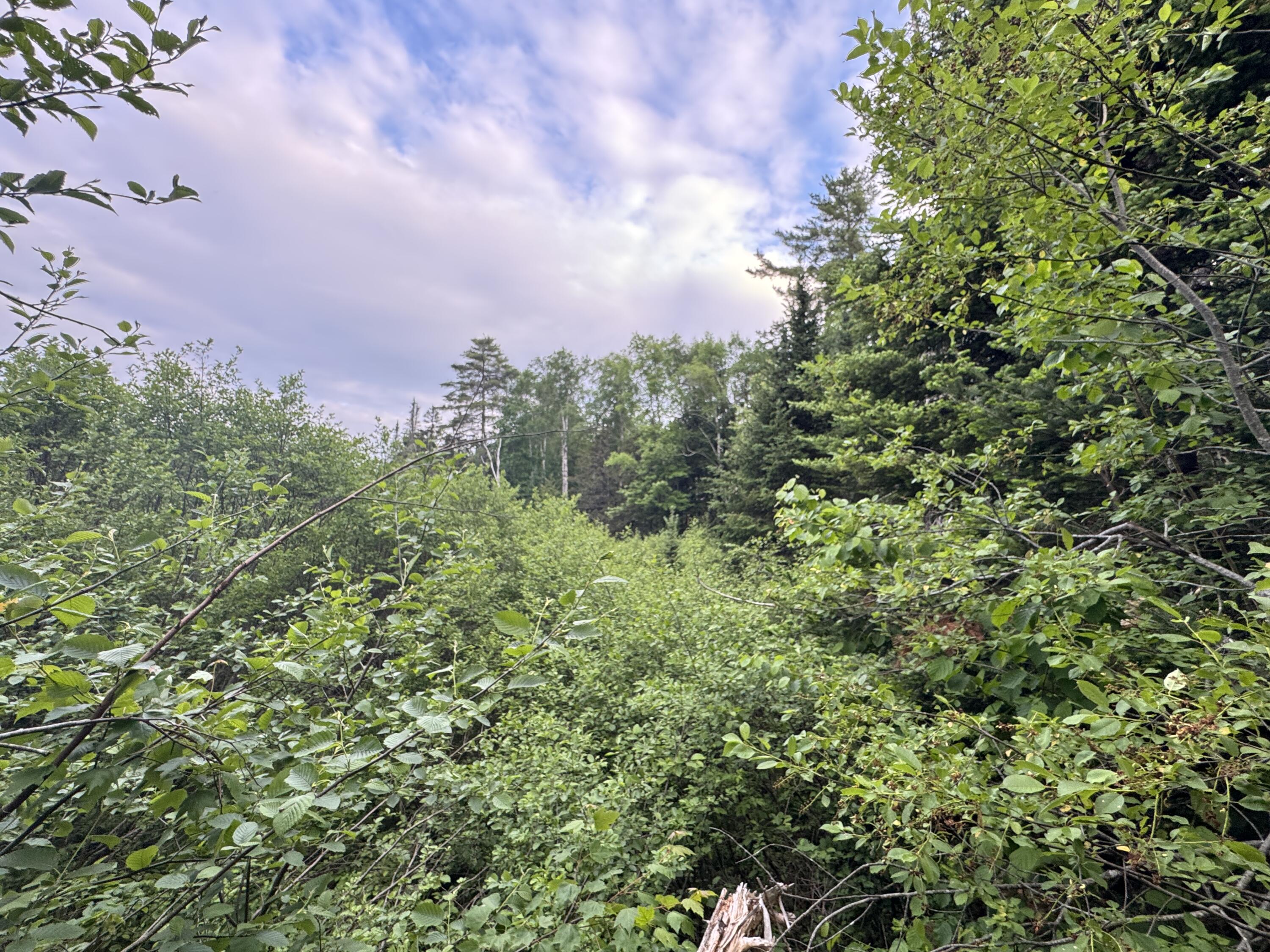 1215 Elliotsville Road Elliottsville Twp ME 04443