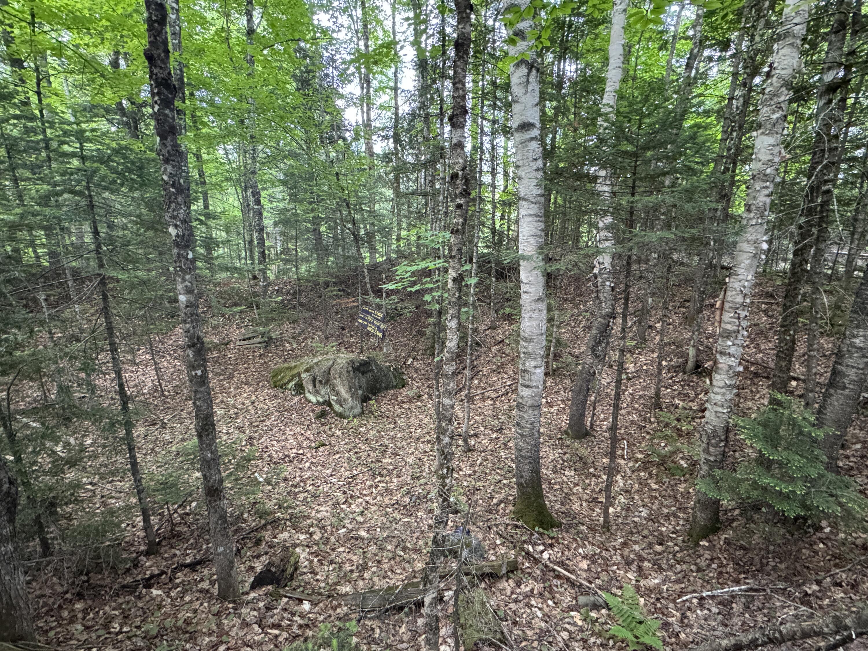 1215 Elliotsville Road Elliottsville Twp ME 04443