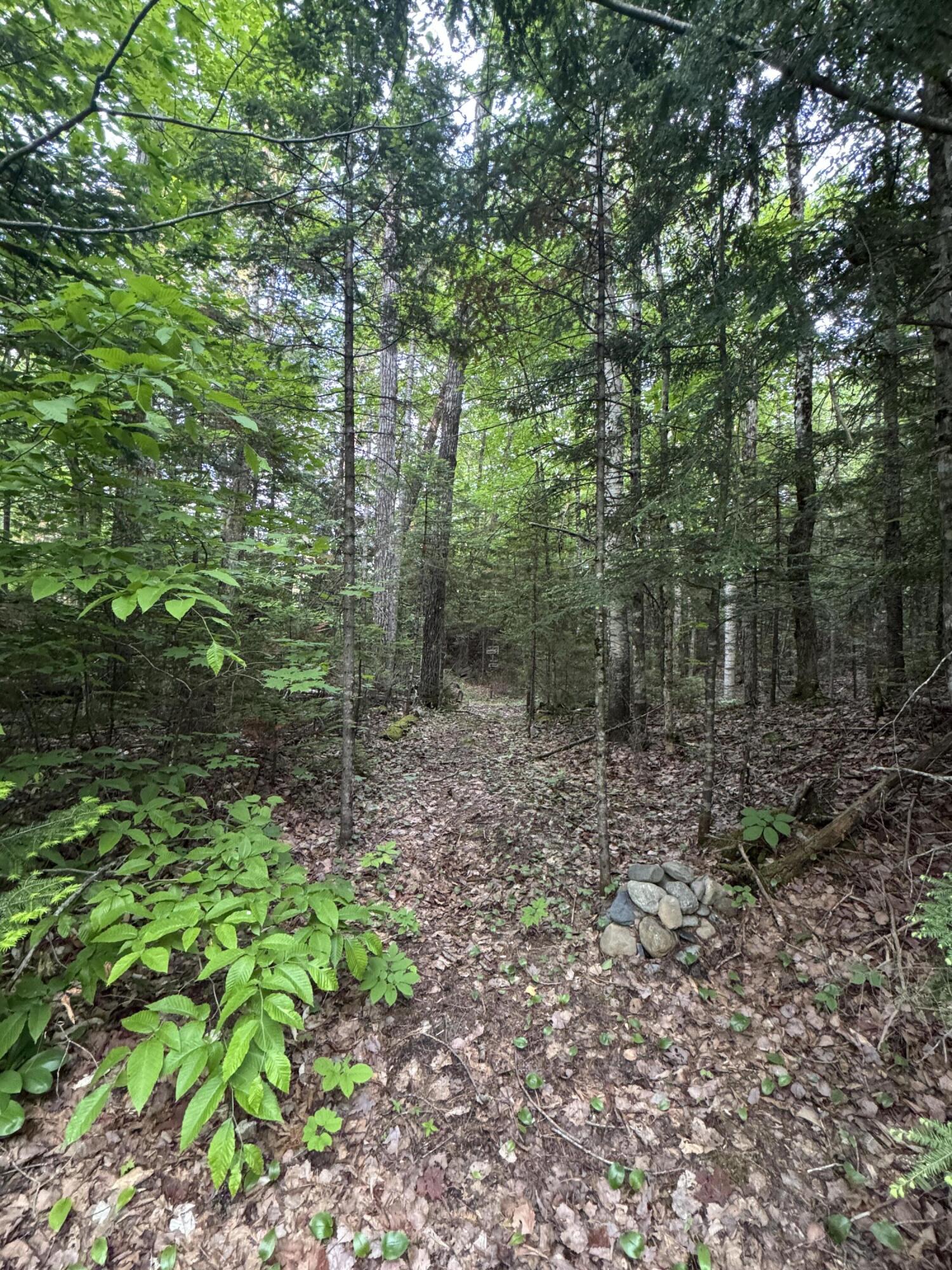 1215 Elliotsville Road Elliottsville Twp ME 04443