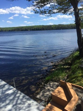 44 Maple Drive Alexander ME 04694