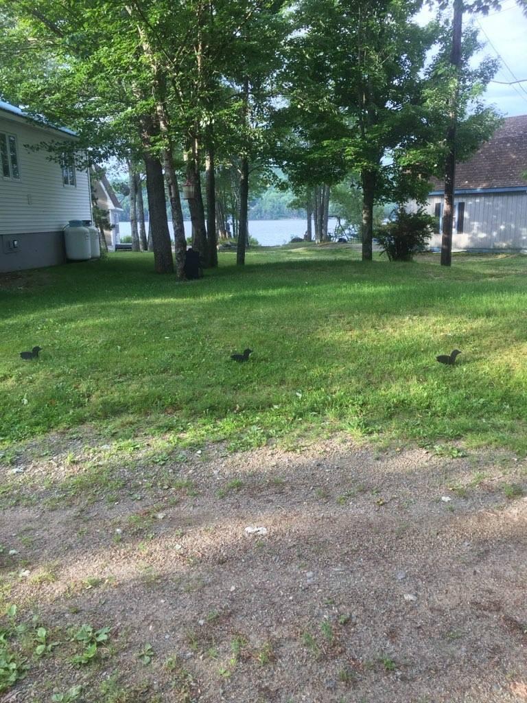 44 Maple Drive Alexander ME 04694