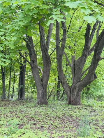 156 Railroad Street Clinton ME 04927