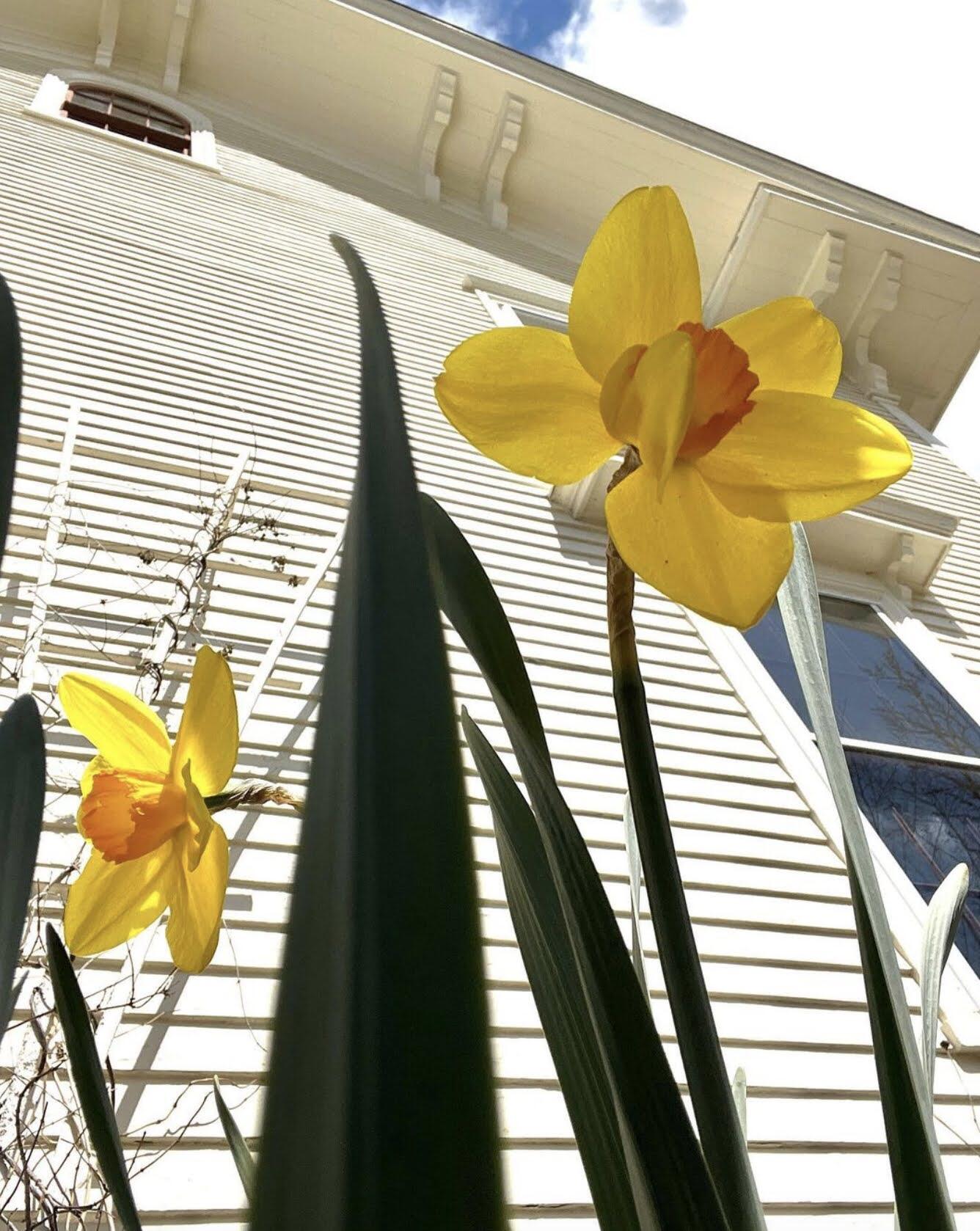 10 Church Street Stockton Springs ME 04981