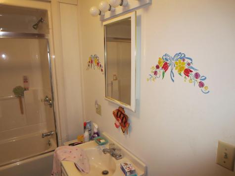 7 Norway Point Road Lake View Plt ME 04463