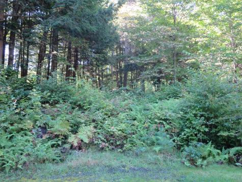 7 Norway Point Road Lake View Plt ME 04463