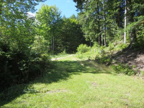 7 Norway Point Road Lake View Plt ME 04463