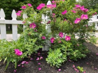 41 Pleasant Street Norway ME 04268