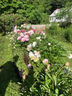 41 Pleasant Street Norway ME 04268