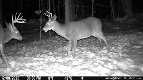 63 George Hannon Road Casco ME 04015