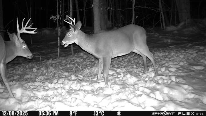 63 George Hannon Road Casco ME 04015