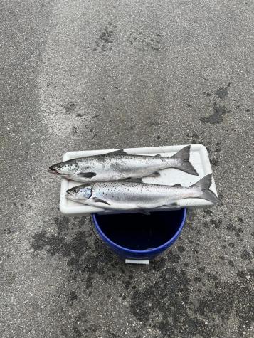 63 George Hannon Road Casco ME 04015