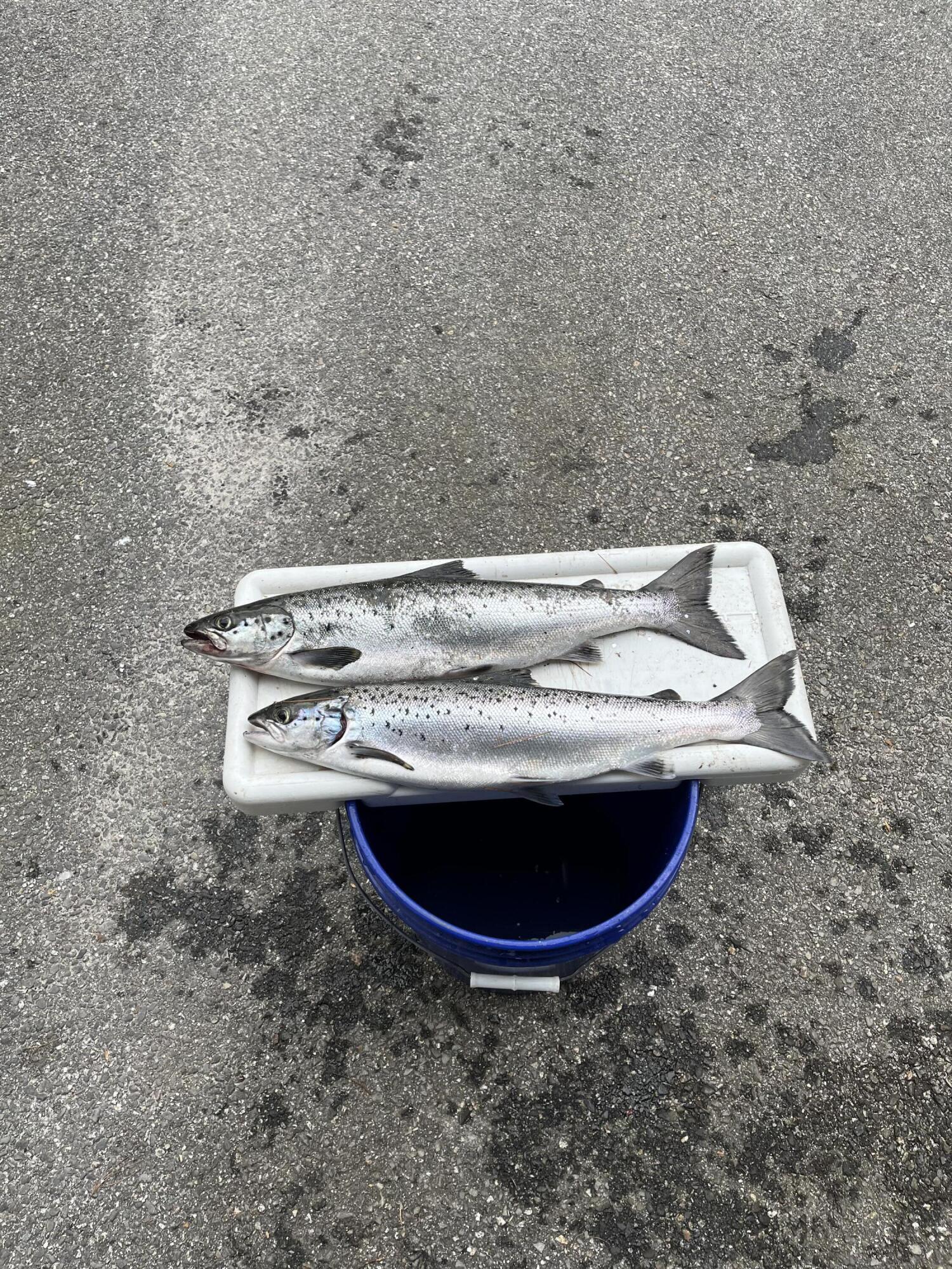 63 George Hannon Road Casco ME 04015