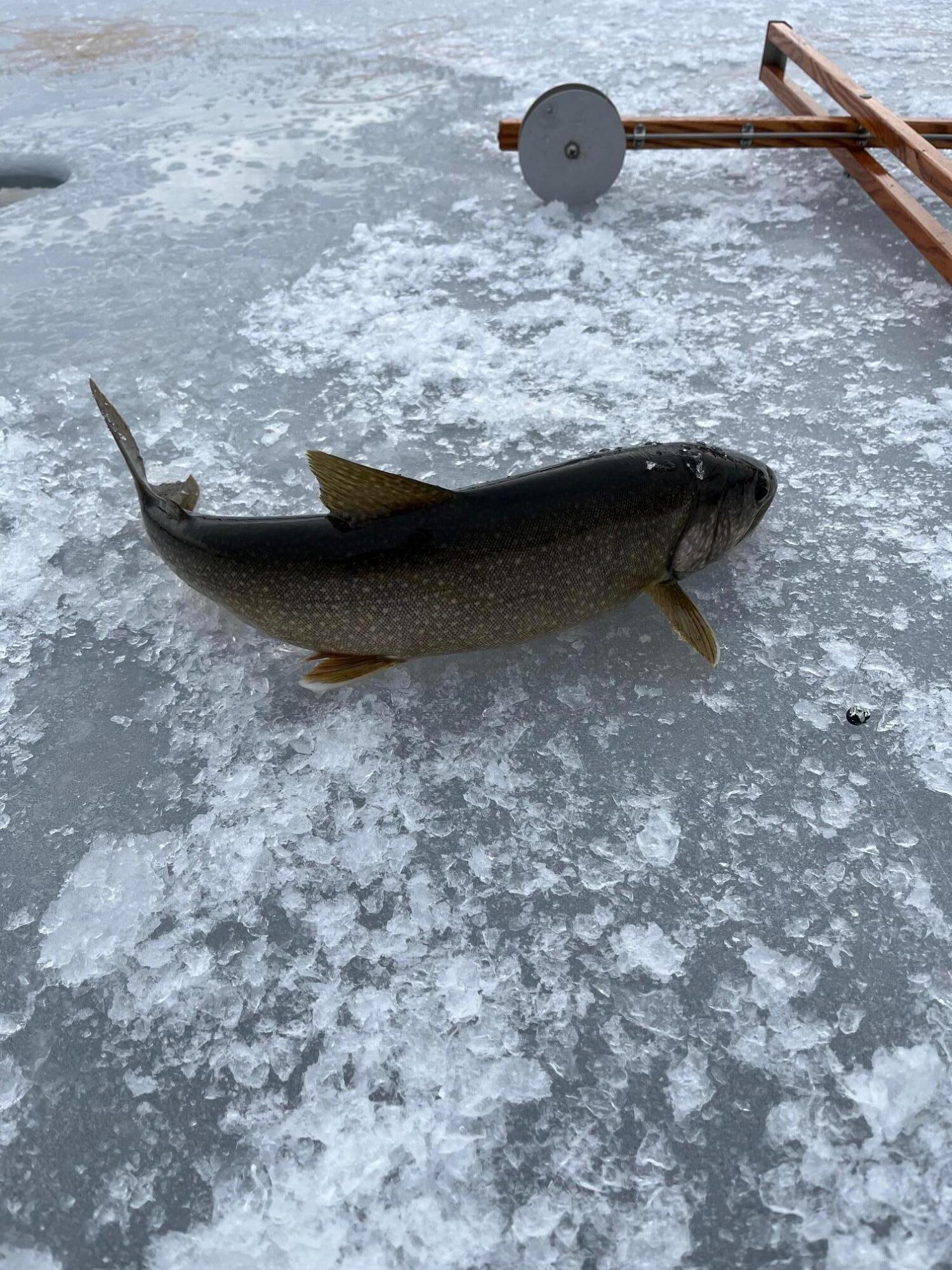 63 George Hannon Road Casco ME 04015