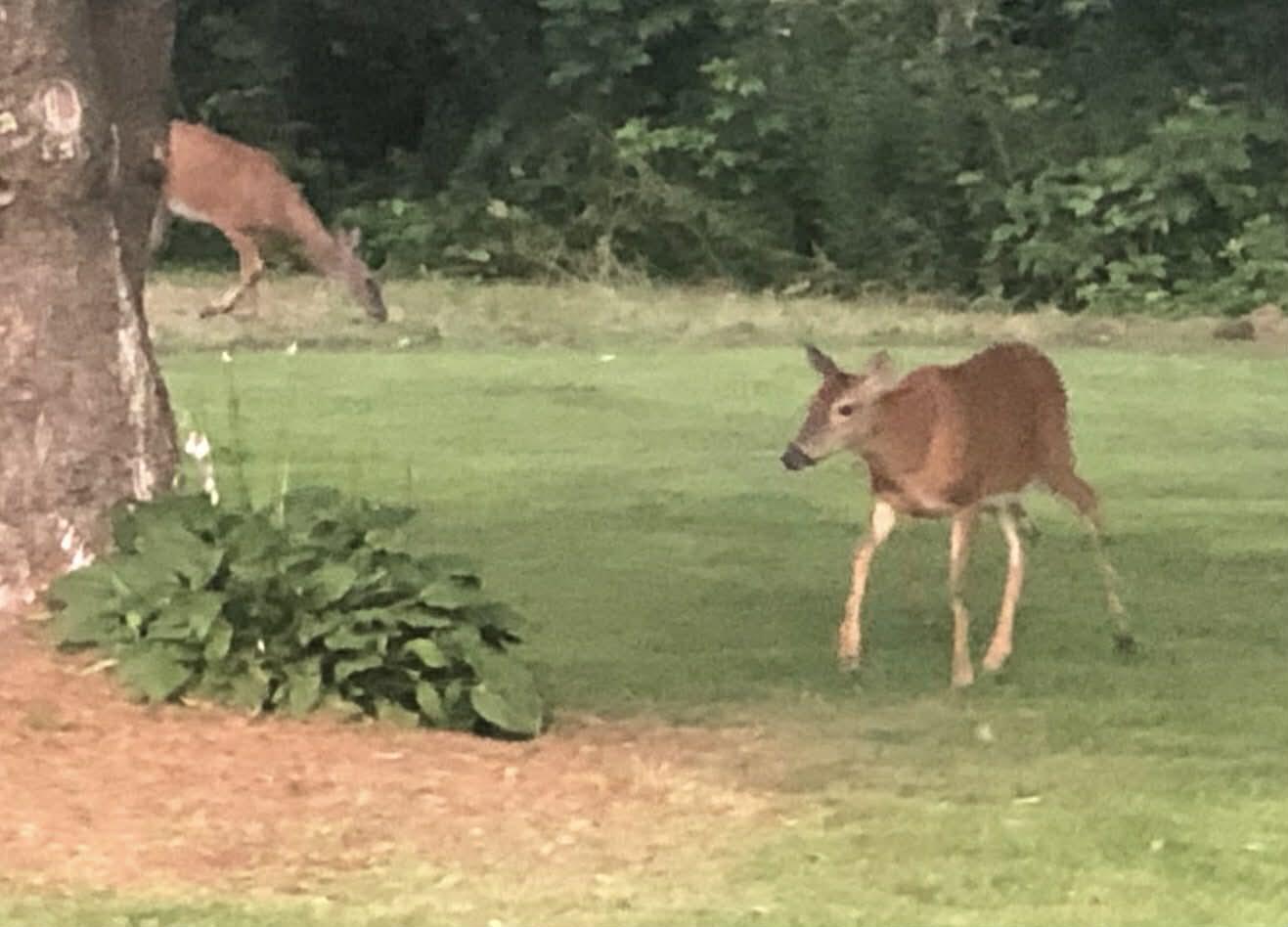 79 S Pleasant Street Bowdoinham ME 04008