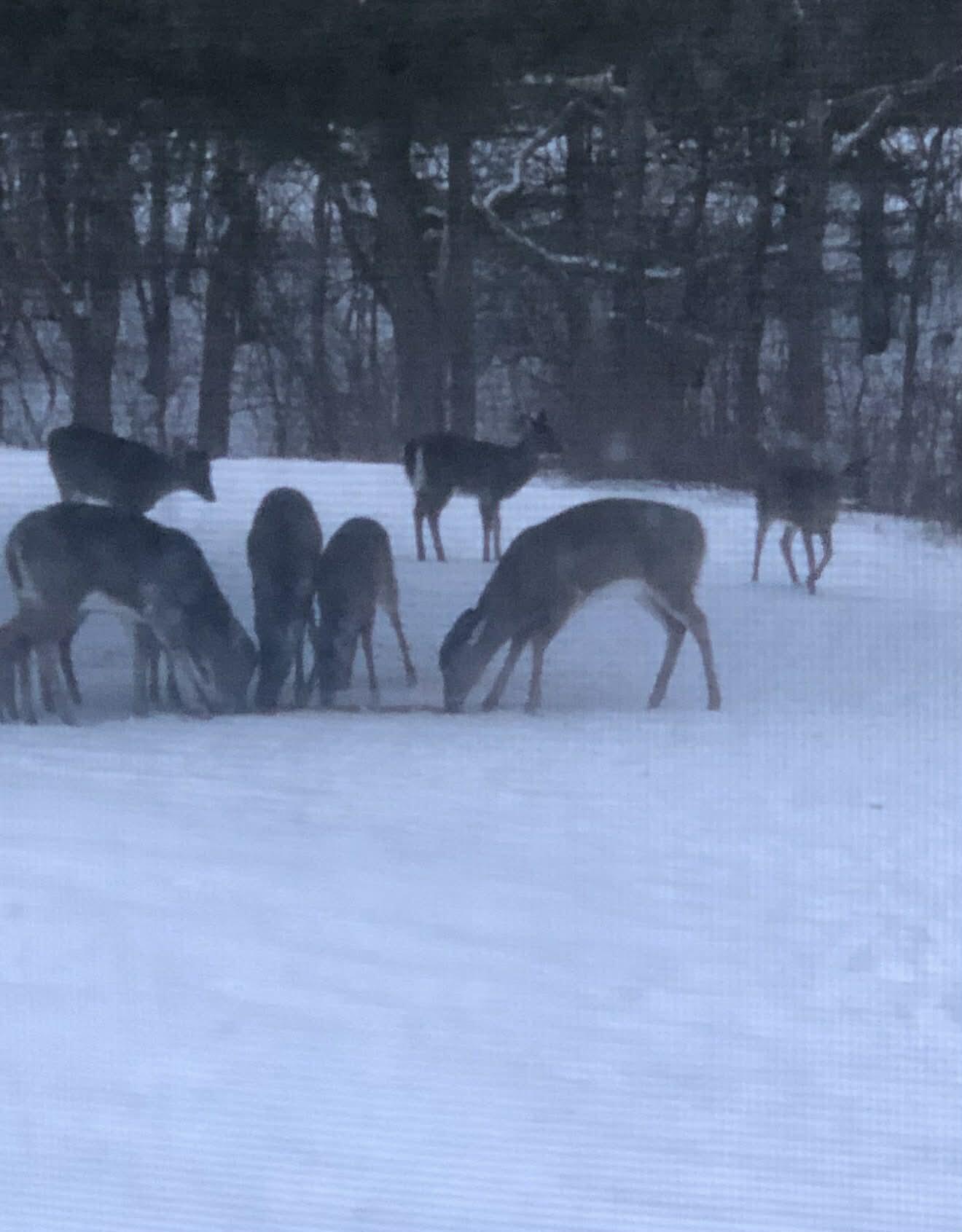 79 S Pleasant Street Bowdoinham ME 04008