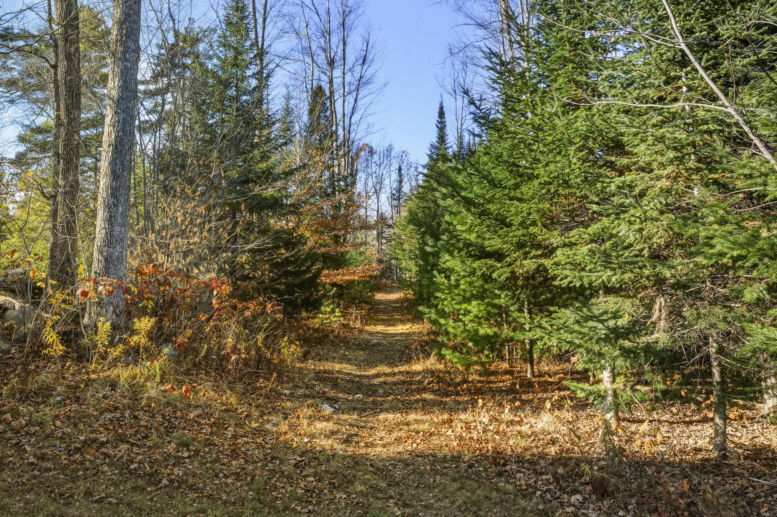 16 Cliff Drive Windham ME 04062