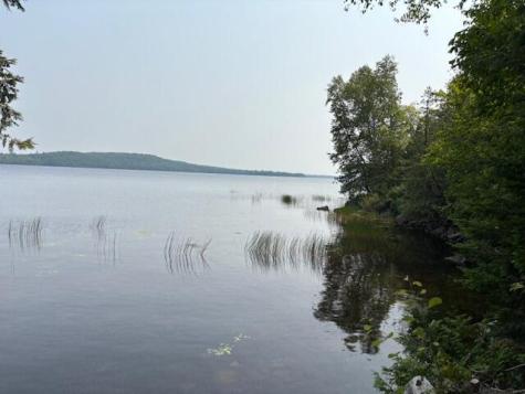 236 Berry Road Alexander ME 04694