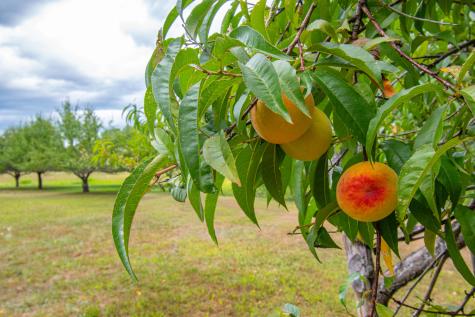 12 Country Charm Lane New Gloucester ME 04260