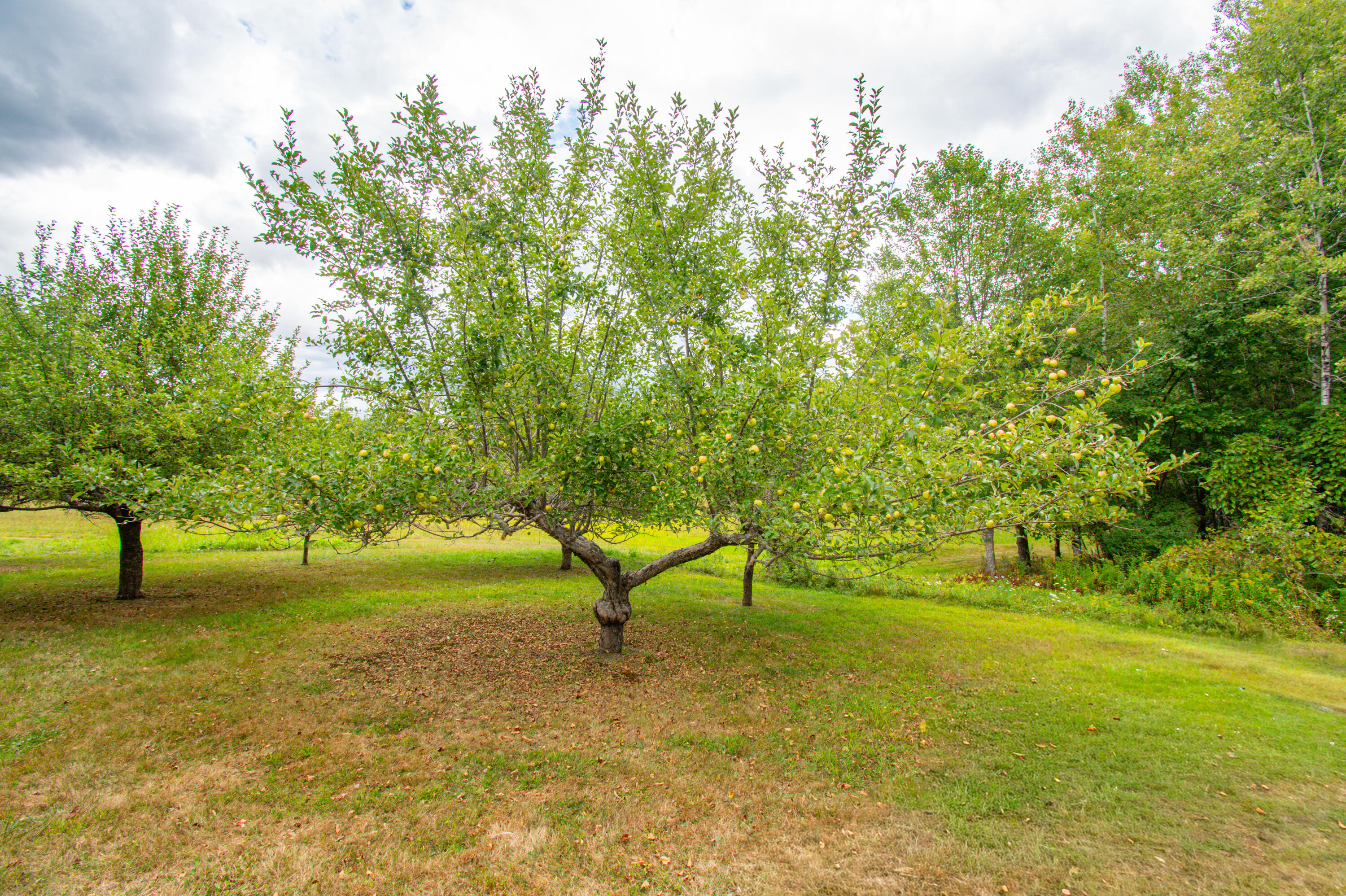 12 Country Charm Lane New Gloucester ME 04260