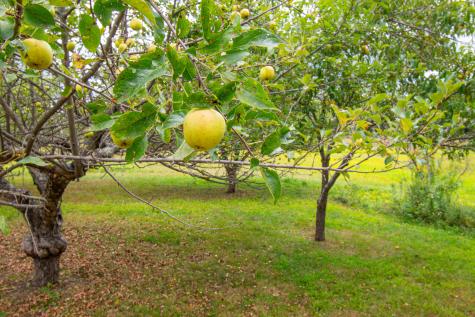 12 Country Charm Lane New Gloucester ME 04260