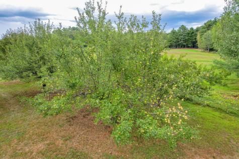 12 Country Charm Lane New Gloucester ME 04260