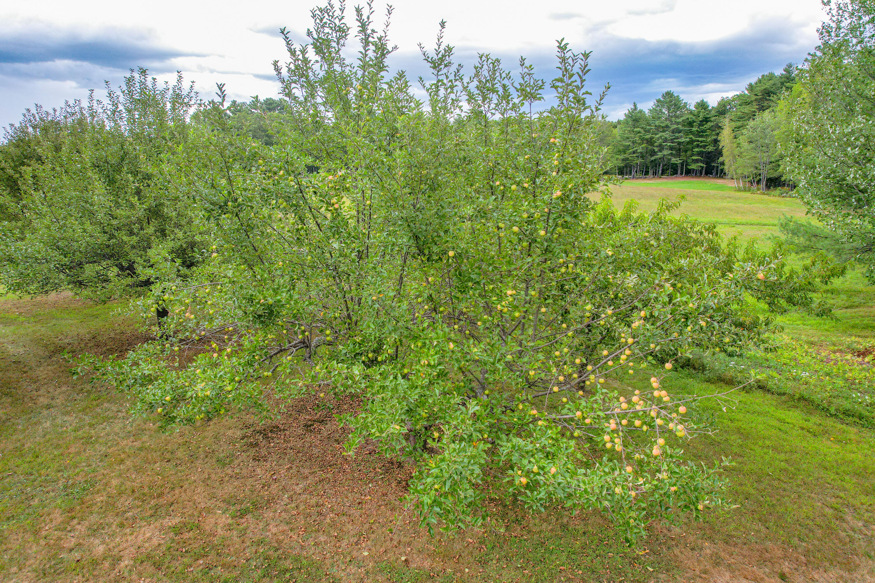 12 Country Charm Lane New Gloucester ME 04260