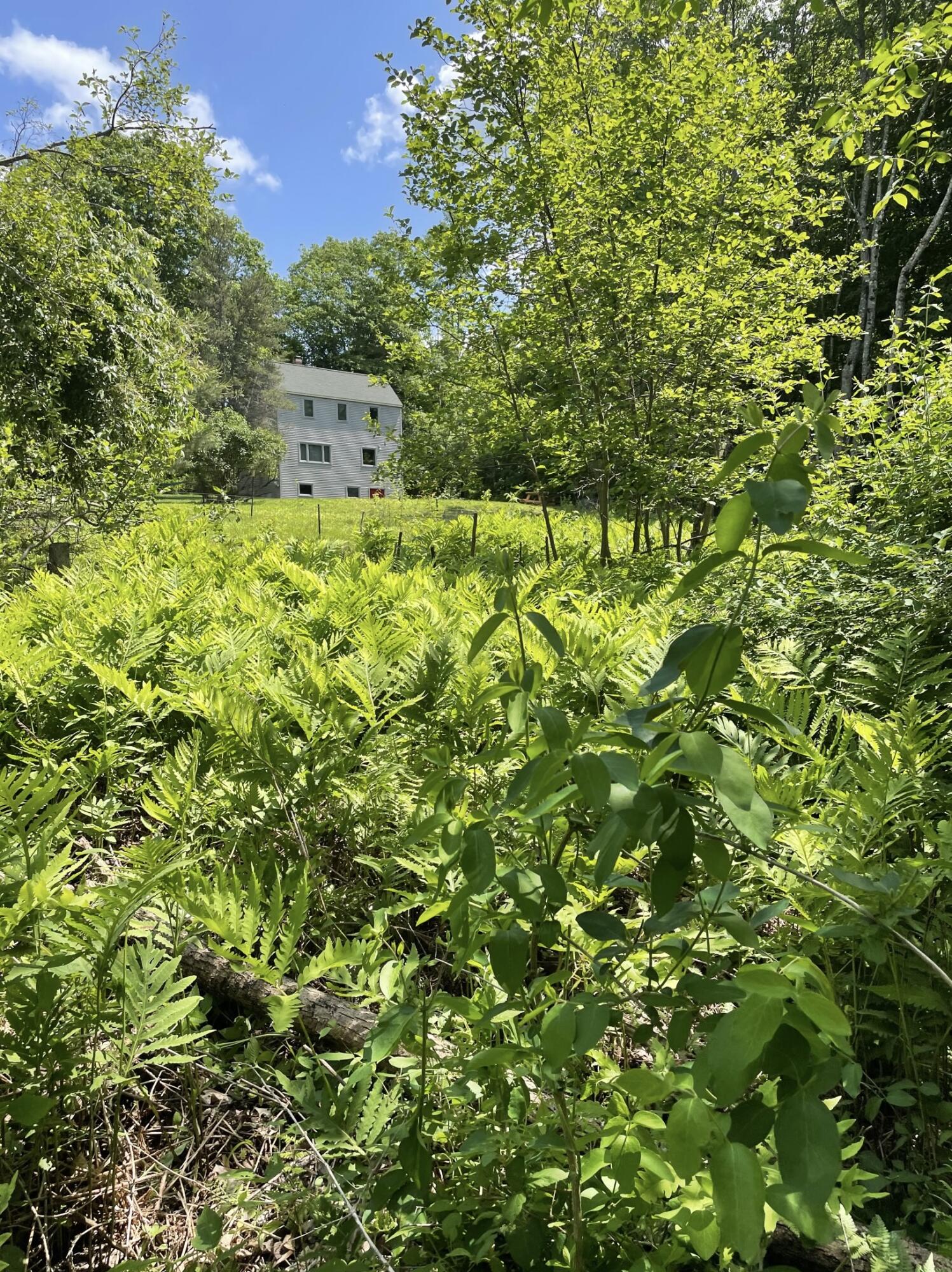 406 Pinnacle Road Canaan ME 04924