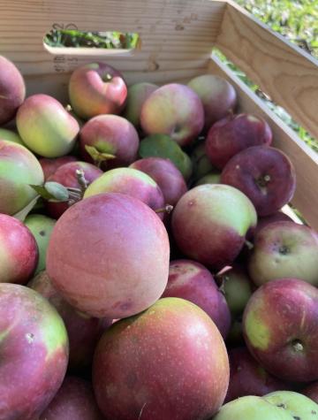 406 Pinnacle Road Canaan ME 04924